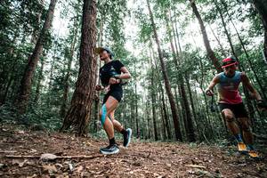 BIB: 
                            <button type="button" onclick="openModal(25261297)" class="btn btn-primary btn-sm float-right btn-popup" data-toggle="modal" data-target=".modal-high-quality">
                        <i class="fas fa-shopping-cart"></i> Add to Cart
                    </button>
                                            <button type="button" onclick="isThisMe(25261297, true)" class="btn btn-success btn-sm float-right btn-popup btn-isme hidden" data-toggle="tooltip" data-placement="bottom" title="นี่คือรูปของคุณใช่ไหม คลิกที่นี่เพื่อเอาเข้าอัลบั้ม">
                        <i class="fas fa-plus"></i> Add to album
                    </button>
                    <button type="button" onclick="isThisMe(25261297, false)" class="btn btn-warning btn-sm float-right btn-popup btn-isnotme hidden">
                        <i class="fas fa-ban"></i> Remove from album
                    </button>